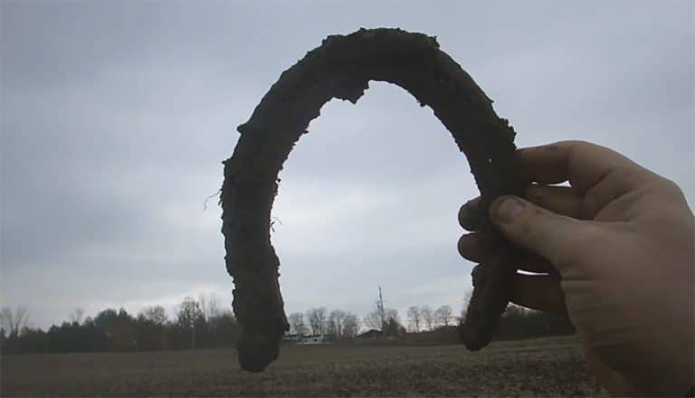 metal detecting in a field