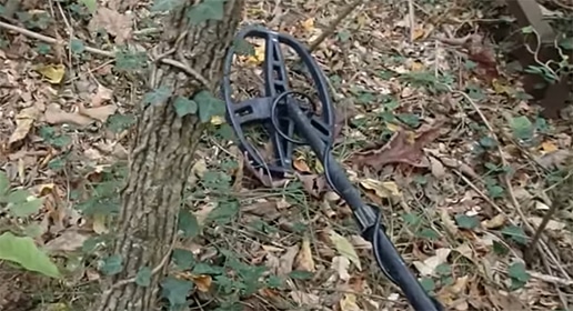 metal detecting in the woods